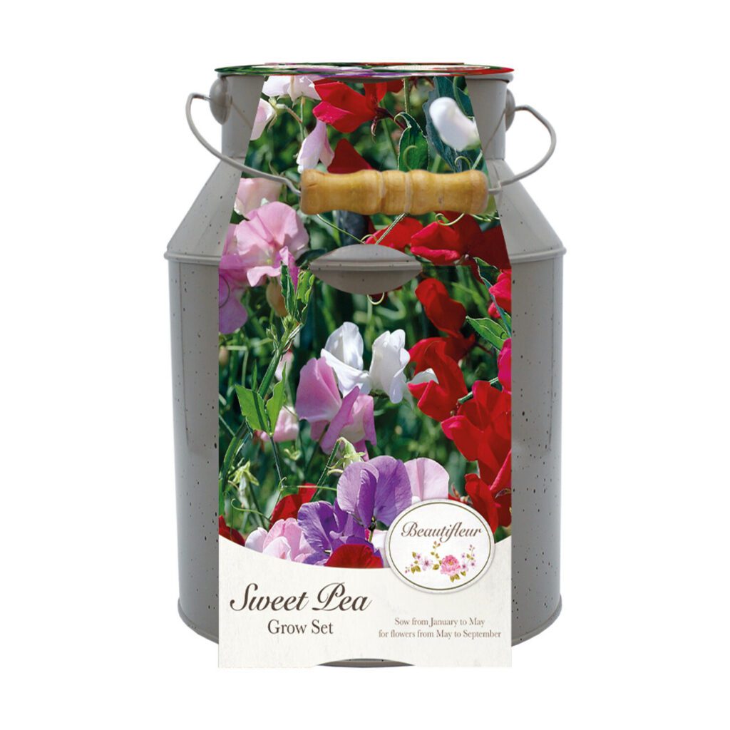 Beautifluer Milkshurn Planter With Sweet Pea Seed Grow Kit 5055128622813